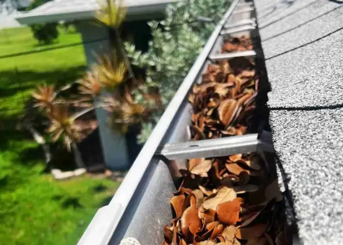 Schaumburg gutter cleaning home page